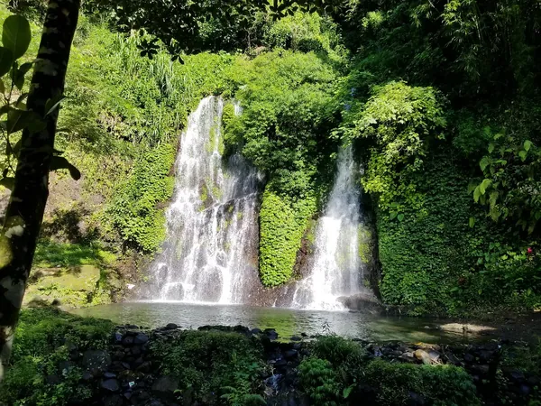 Kesegaran Air Terjun Jagir Banyuwangi: Relaksasi alami di sumber mata air jernih yang menenangkan