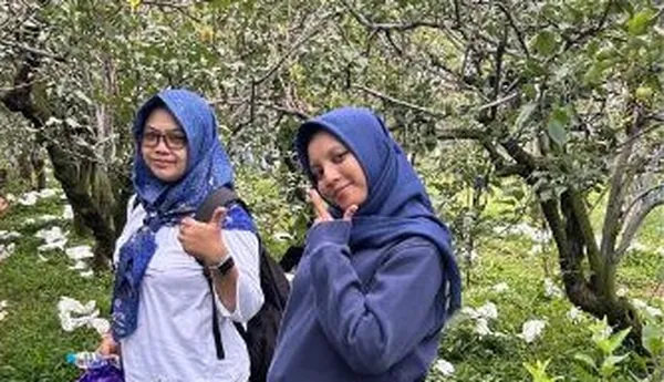 Pengalaman seru memetik buah apel segar langsung dari pohon di kebun agro wisata Batu