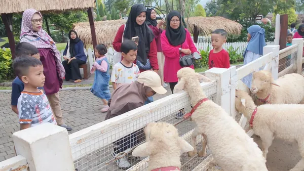 Siswa sekolah belajar tentang peternakan dan pengolahan susu di Cimory Dairyland