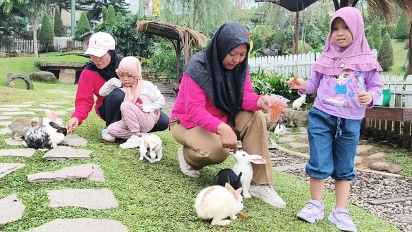 Kegiatan edukasi interaktif mengenal satwa di kawasan Dairyland bersama Nila Productions
