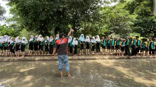 Edukasi pertanian: Siswa belajar mengenal alam dan ekosistem sawah