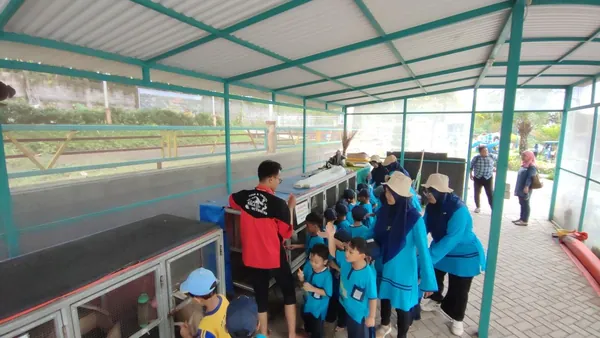 Edukasi satwa: Siswa belajar memberi makan kelinci di taman bermain Telogo Sewu