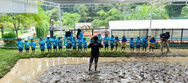 Kegiatan edukasi alam mengenal ekosistem sawah dan cara menanam padi