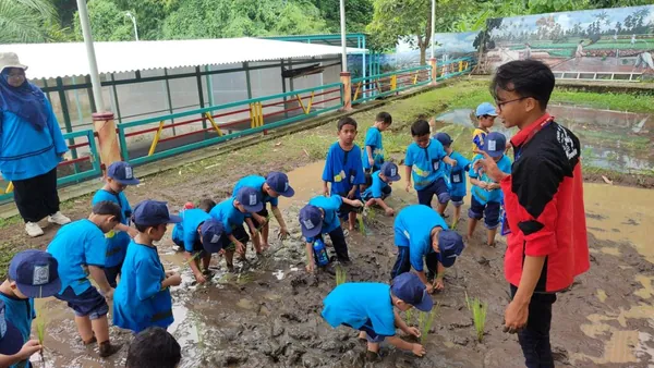 Siswa terjun langsung ke sawah untuk pengalaman belajar pertanian yang nyata
