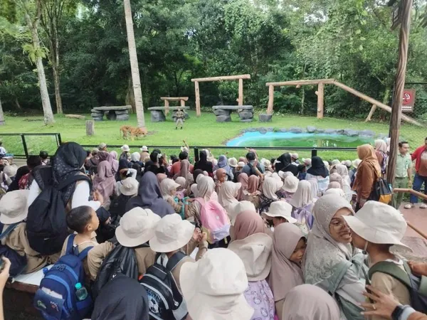 Paket trip terlengkap: Wisata edukasi satwa, wahana permainan, dan sirkus internasional